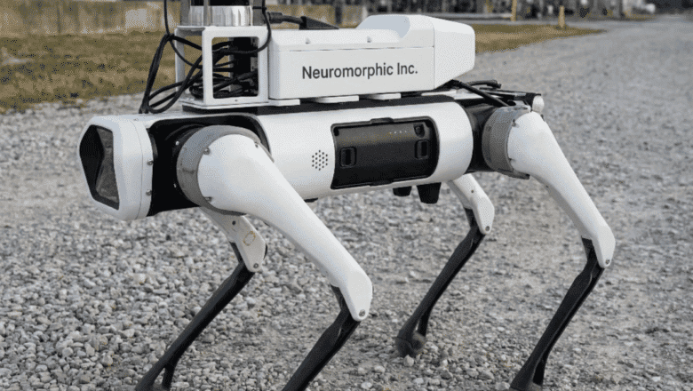 Neuromorphic Robot Girişimi