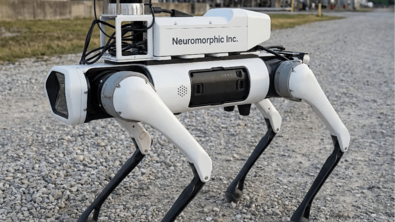 Neuromorphic Robot Girişimi