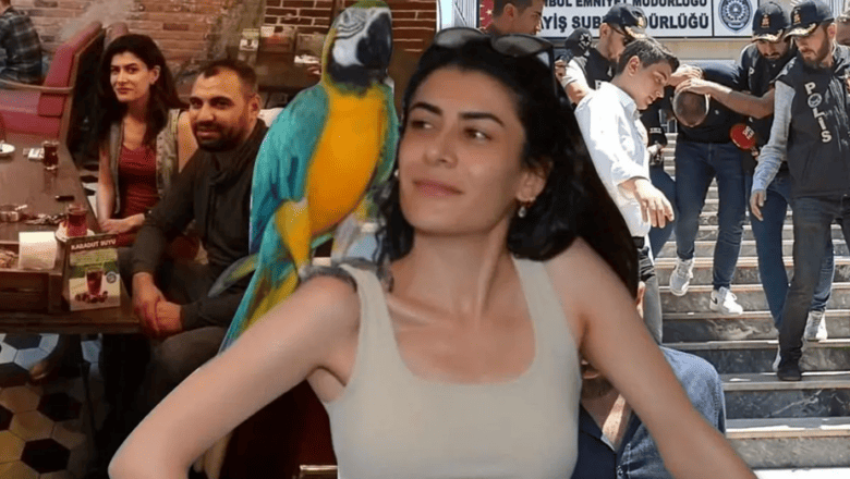 Pınar Damar Cinayeti
