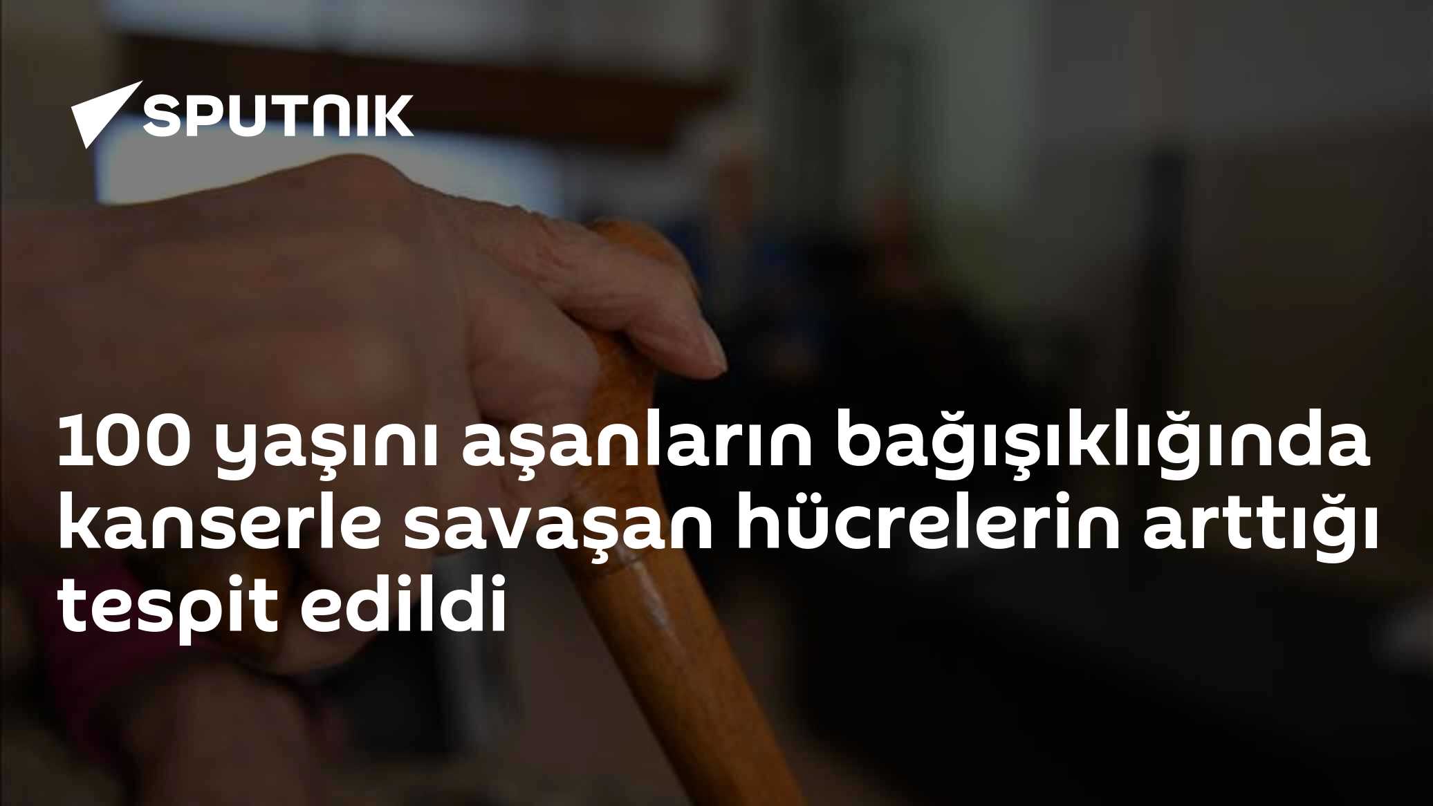 CD4 CTL hücreleri
