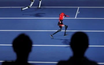 insansı robot