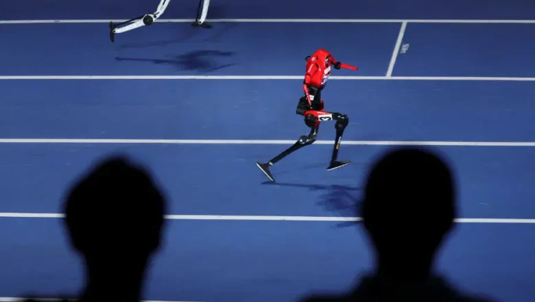 insansı robot