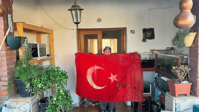 Kıbrıs Barış Harekatı Bayrağı