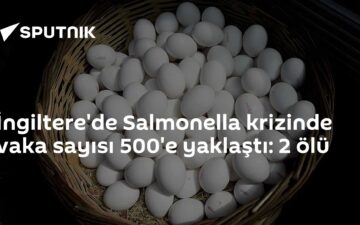 salmonella