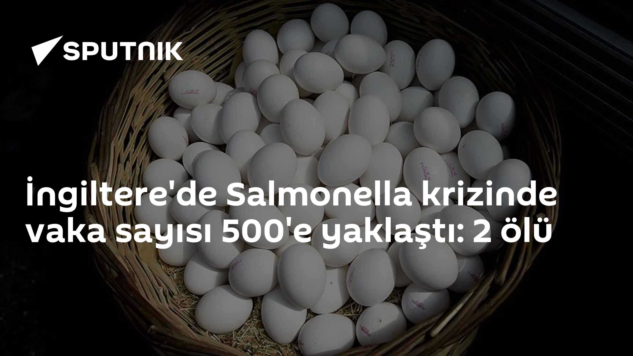 salmonella