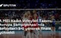 Avrupa Şampiyonası