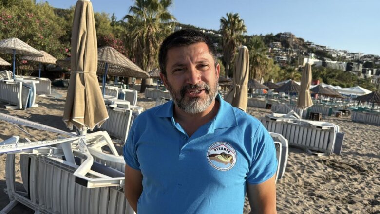 yavru deniz kaplumbağası